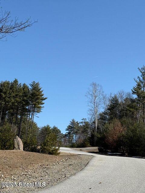 61 Snowshoe Ridge, Warrensburg, New York image 5