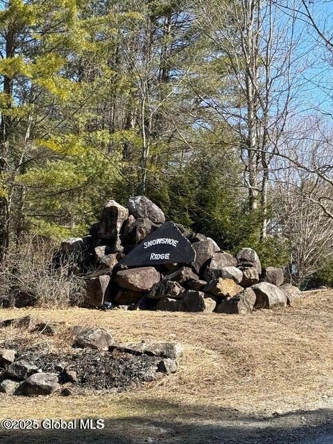 61 Snowshoe Ridge, Warrensburg, New York image 9
