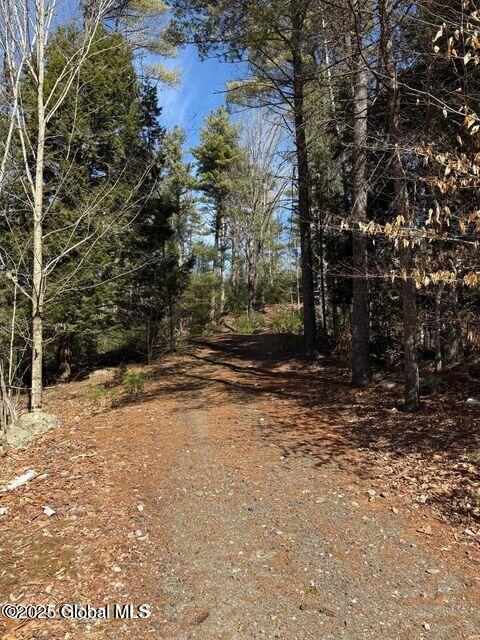 61 Snowshoe Ridge, Warrensburg, New York image 2