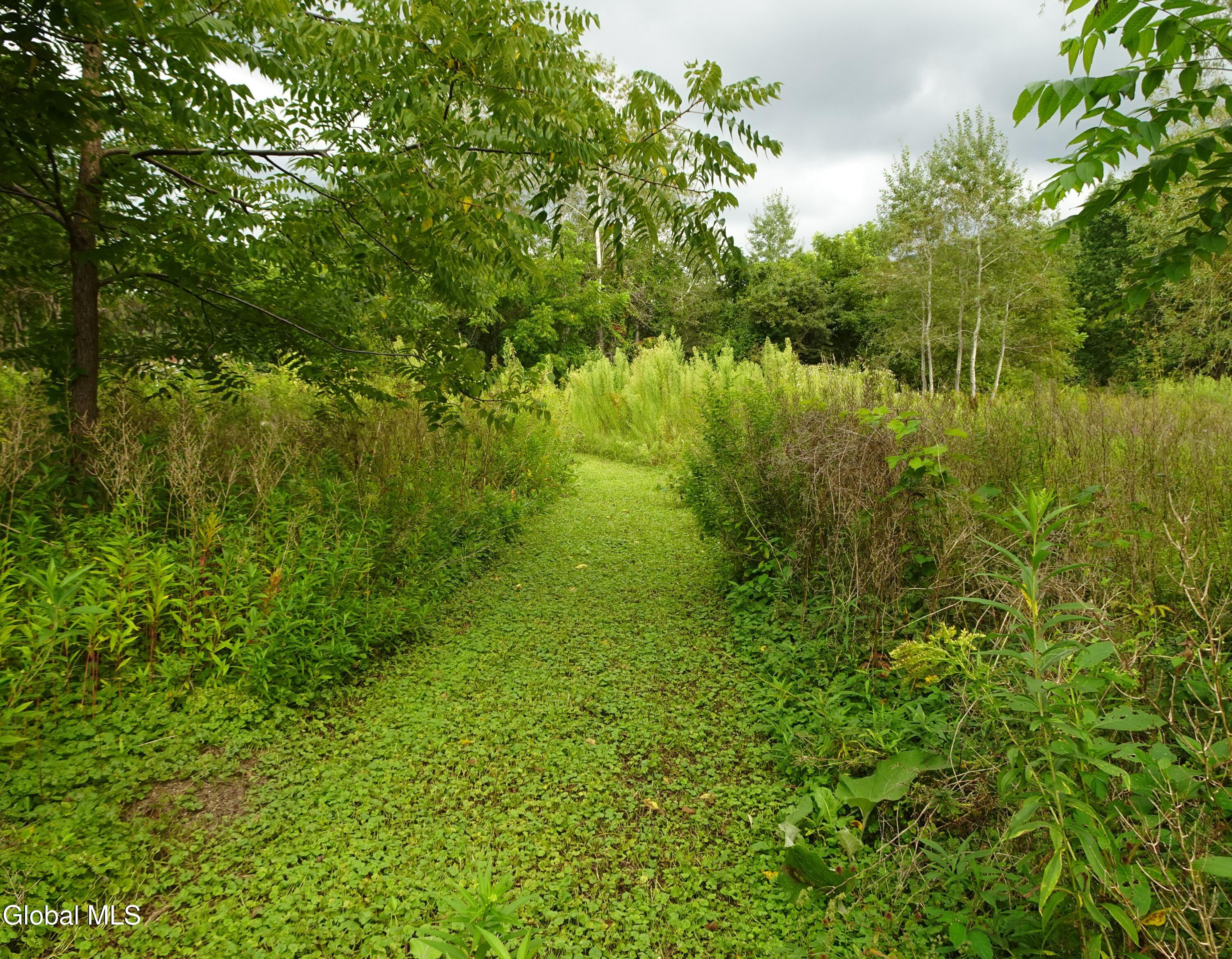 261 Yonderview Road