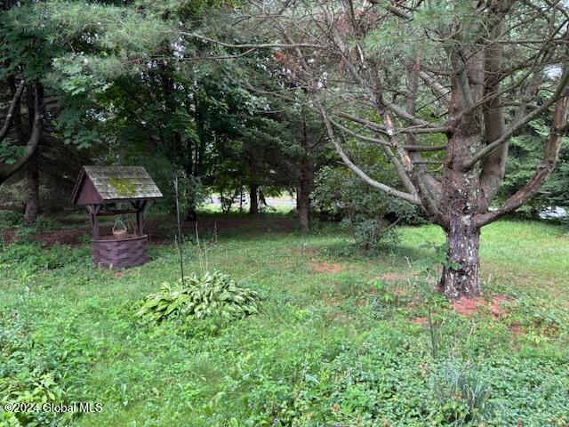 120 Beards Hollow Road, Richmondville, New York image 14