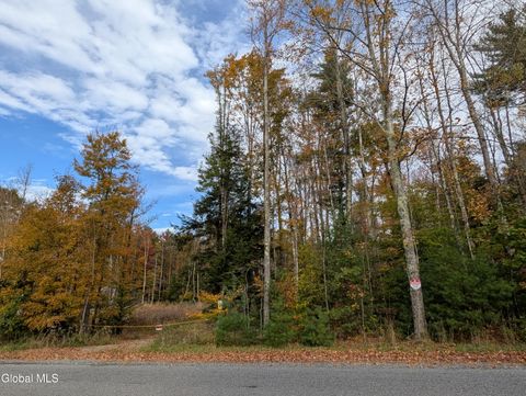 Vacant Land For Sale - L23.3 Potter Hollow Road<br/> Galway, NY 12074