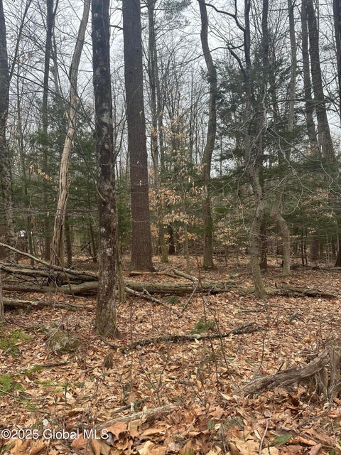 Photo for 169-171 Traver Road