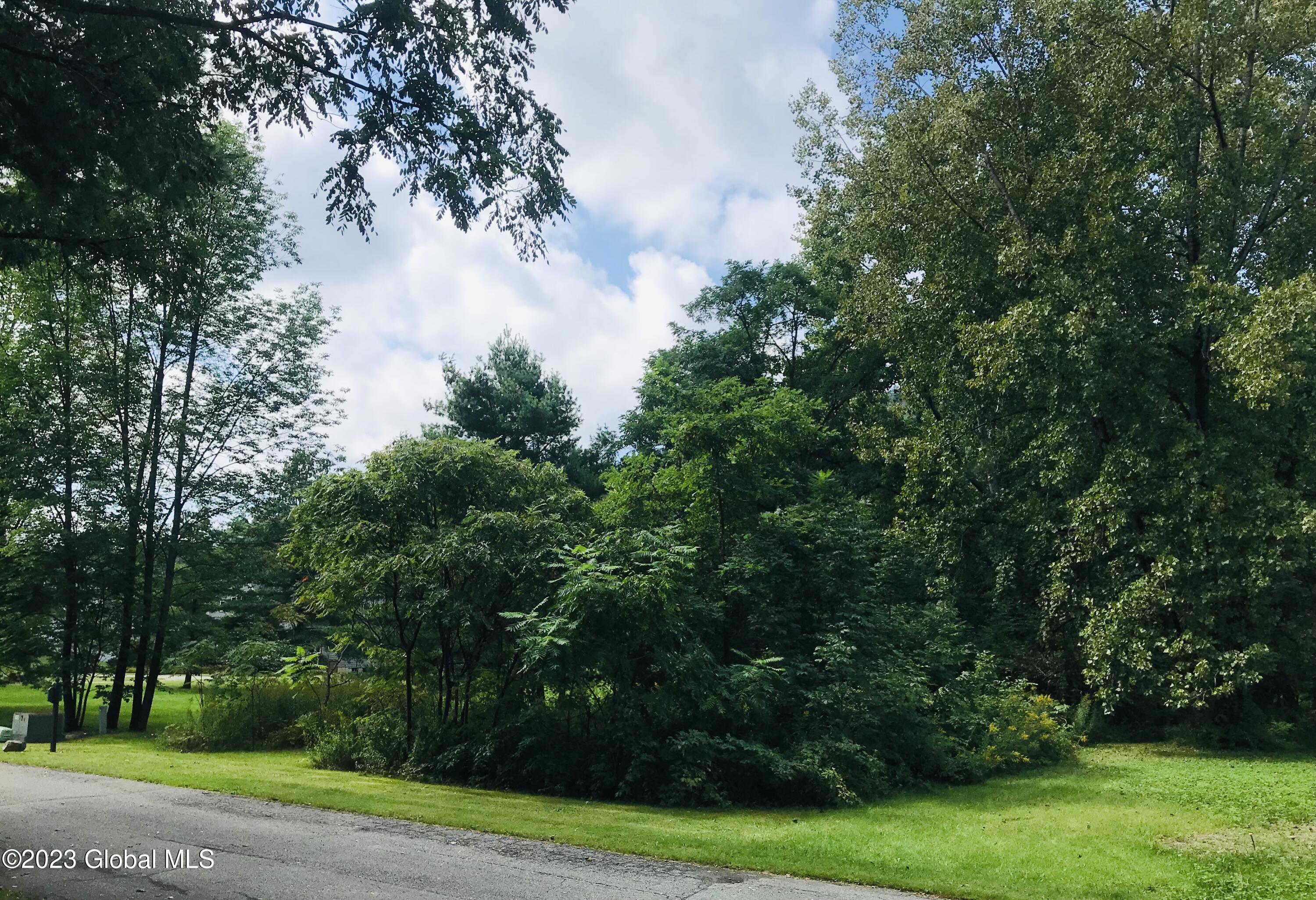 00 Bobkat Lane, Hague, New York image 1