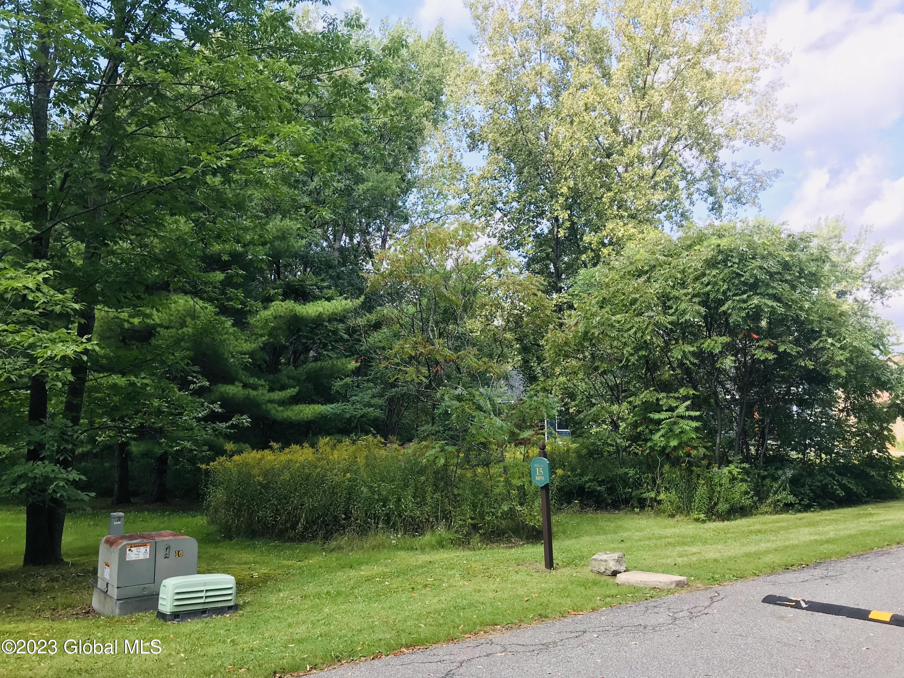 00 Bobkat Lane, Hague, New York image 5