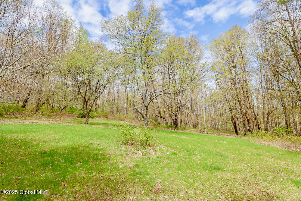 187 West Street, New Lebanon, New York image 44