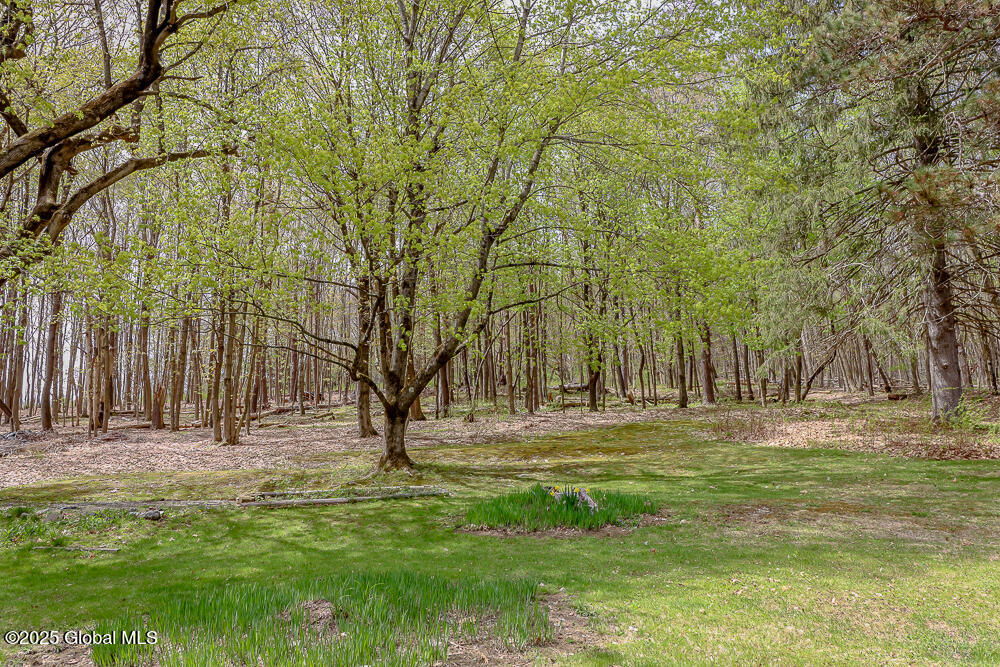 187 West Street, New Lebanon, New York image 42