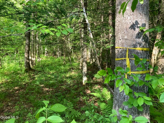BREED HILL RD, CROWN POINT, NY 12928 - Image 2338f5f4f094939cbf63f2c2be6defb7/940254805