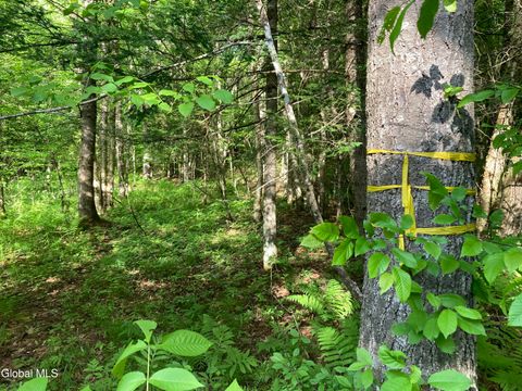 Vacant Land For Sale - L3 Breed Hill Road<br/> Crown Point, NY 12928