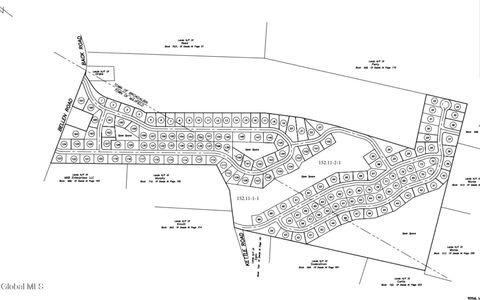 Vacant Land For Sale - 194 Bellen Road<br/> Broadalbin, NY 12025