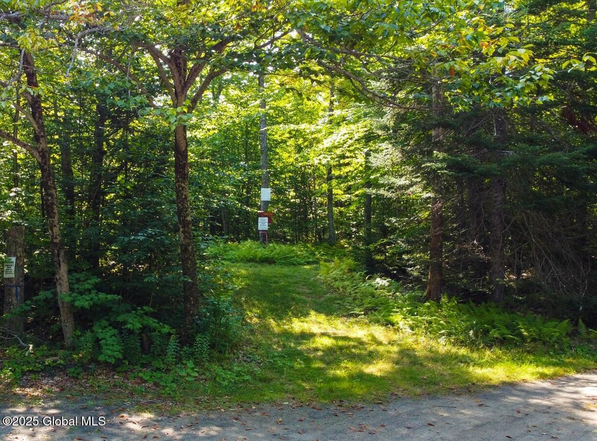 L30. 11 4-h Road, North River, New York image 3