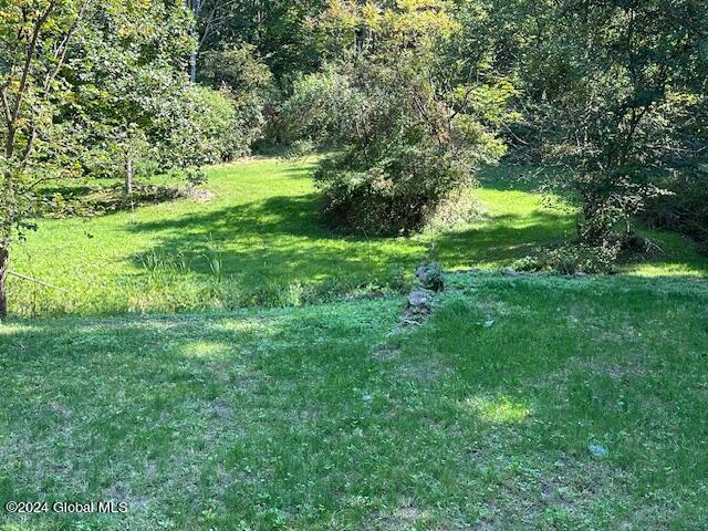 96 W Deans Mill Road Rd, West Coxsackie, New York image 47