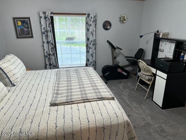 550 New Vermont Road, Bolton Landing, New York image 14