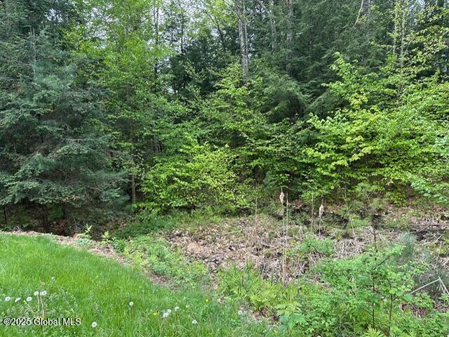 550 New Vermont Road, Bolton Landing, New York image 30