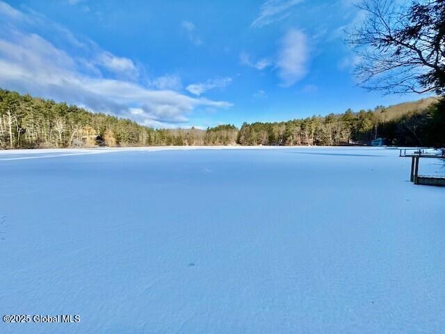 L37.3 East Green Pond Way, Granville, New York image 1