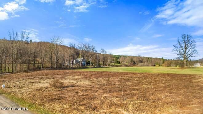 L43.3 Fairway Court, Afton, New York image 6