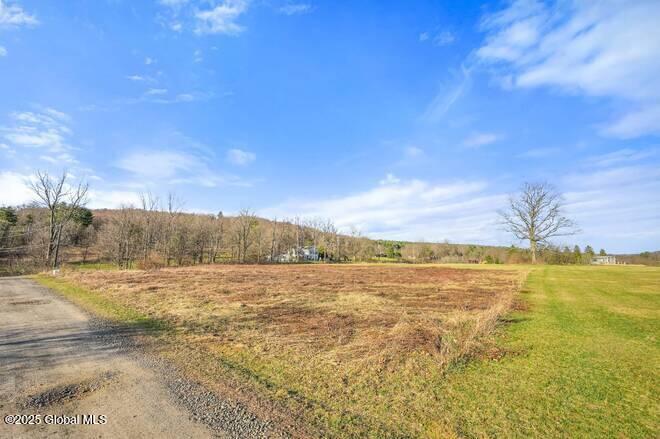 L43.3 Fairway Court, Afton, New York image 10