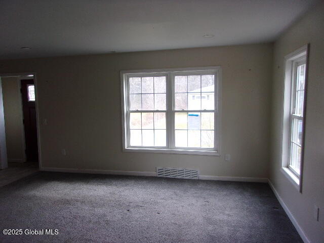 20 Spring Street, Broadalbin, New York image 23