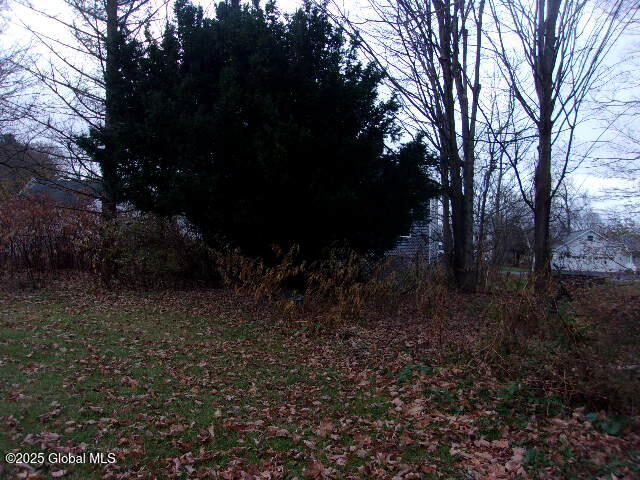 20 Spring Street, Broadalbin, New York image 10
