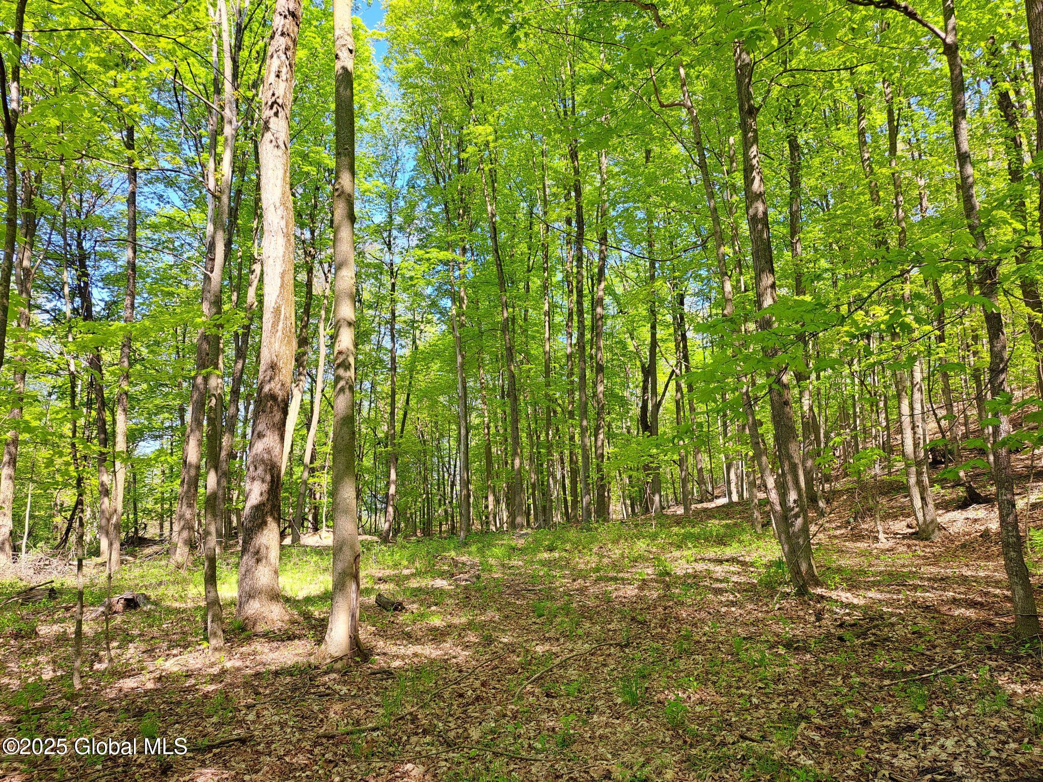 851 Bald Mountain Road, Greenwich, New York image 49