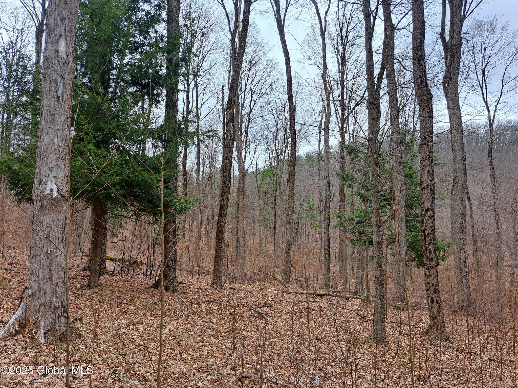 851 Bald Mountain Road, Greenwich, New York image 15