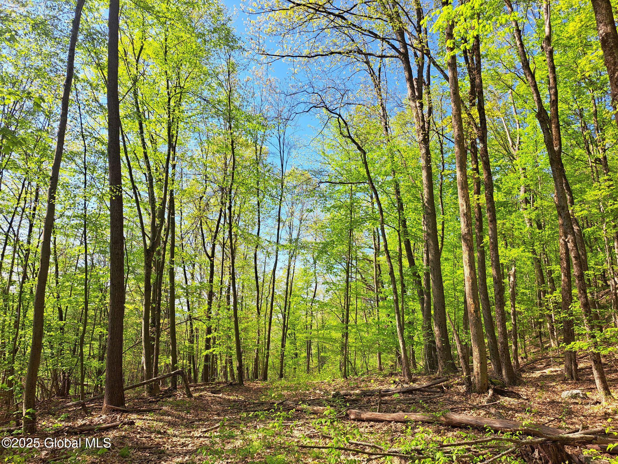 851 Bald Mountain Road, Greenwich, New York image 42