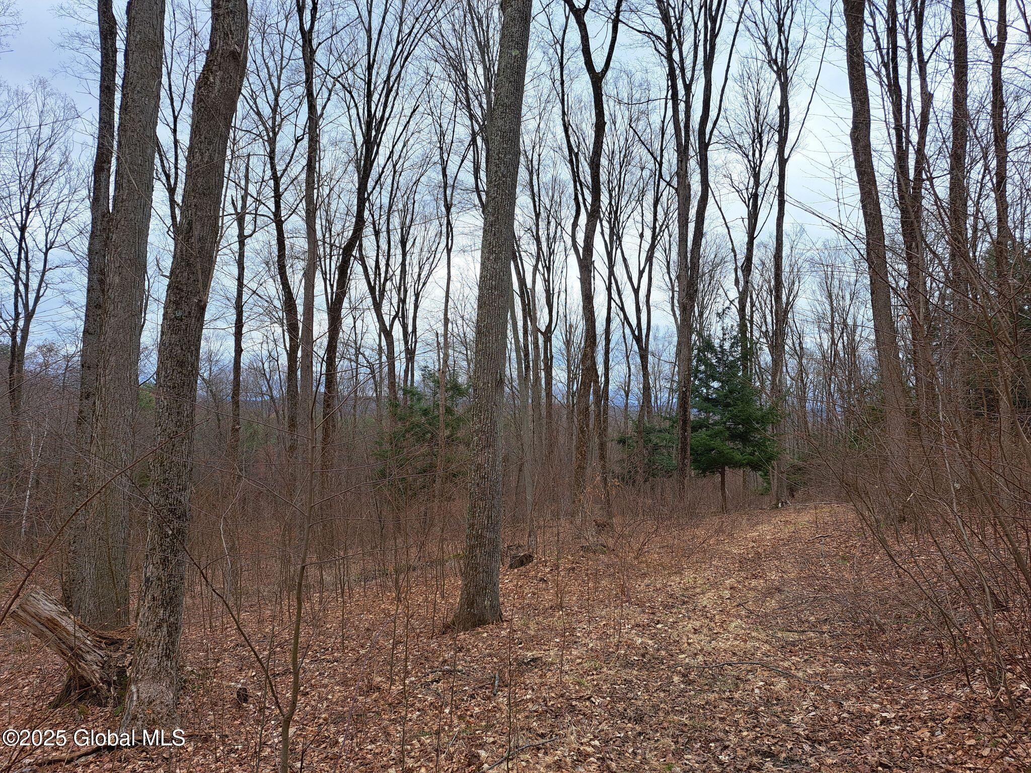 851 Bald Mountain Road, Greenwich, New York image 5