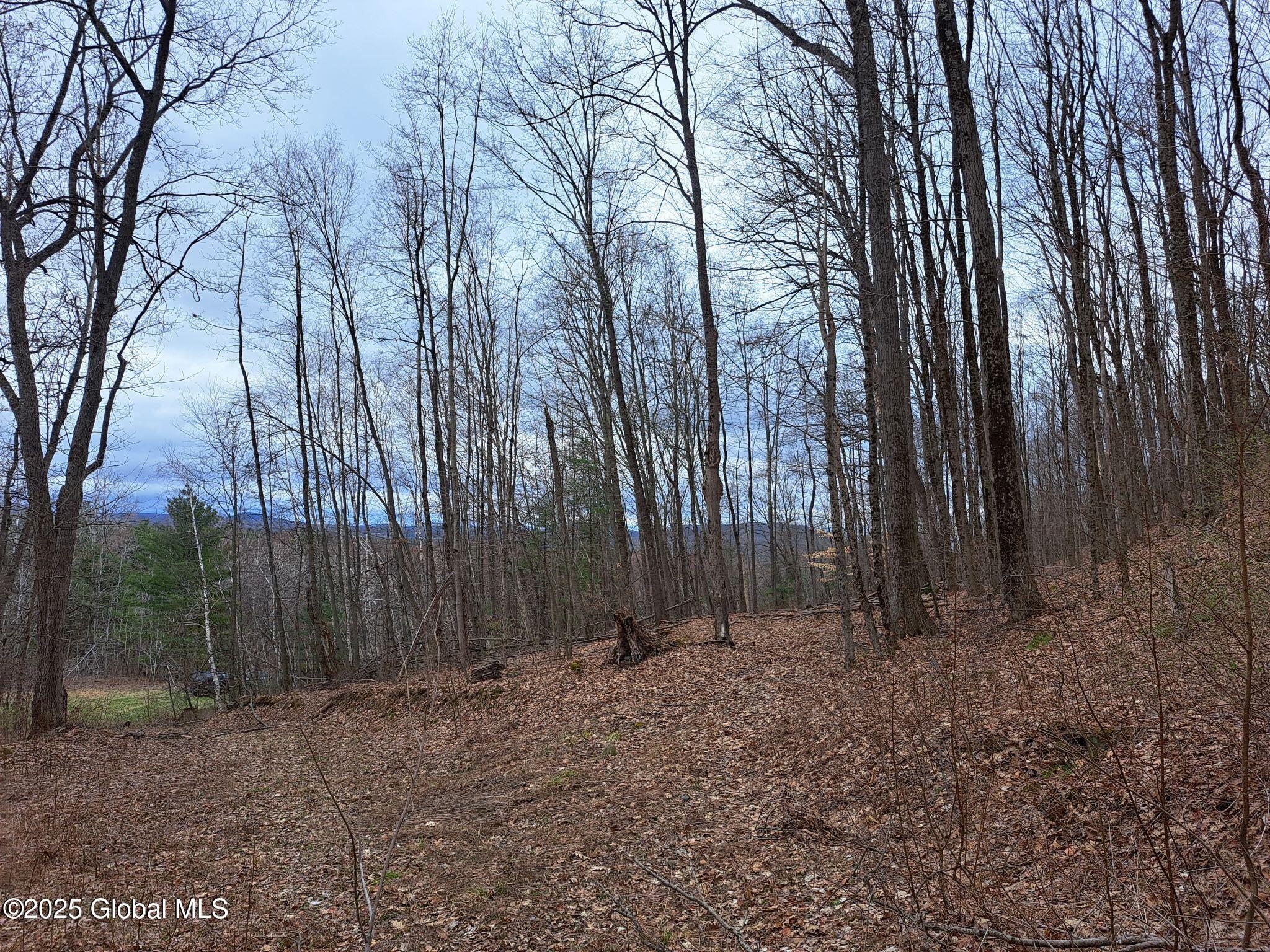 851 Bald Mountain Road, Greenwich, New York image 14