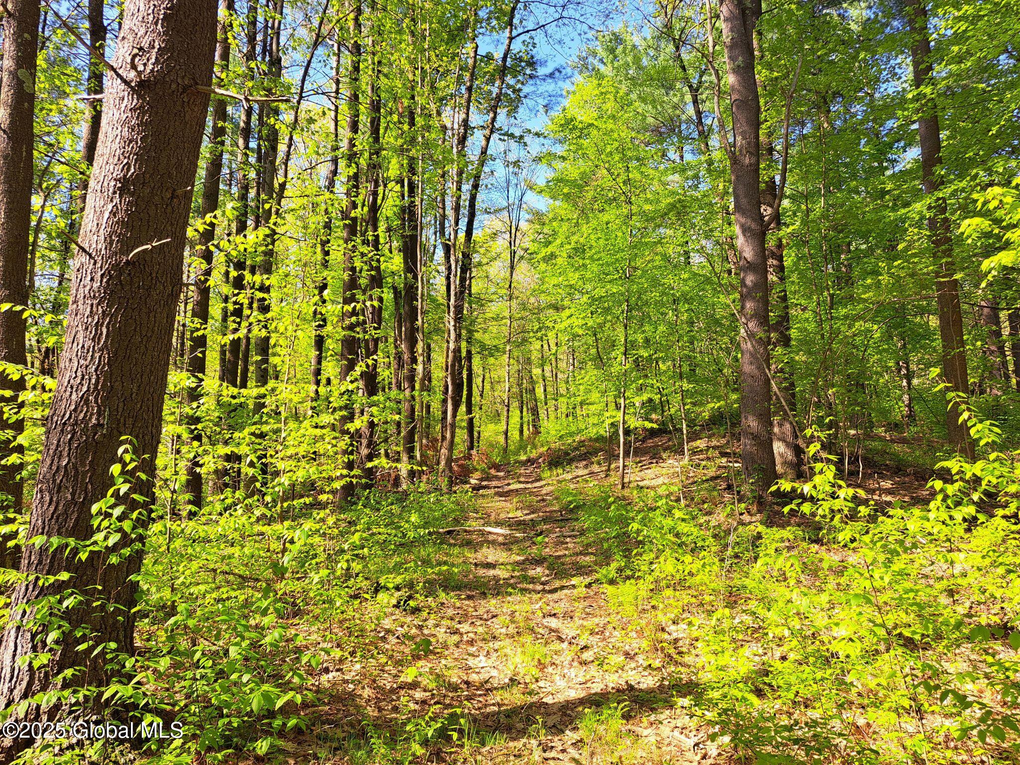 851 Bald Mountain Road, Greenwich, New York image 31