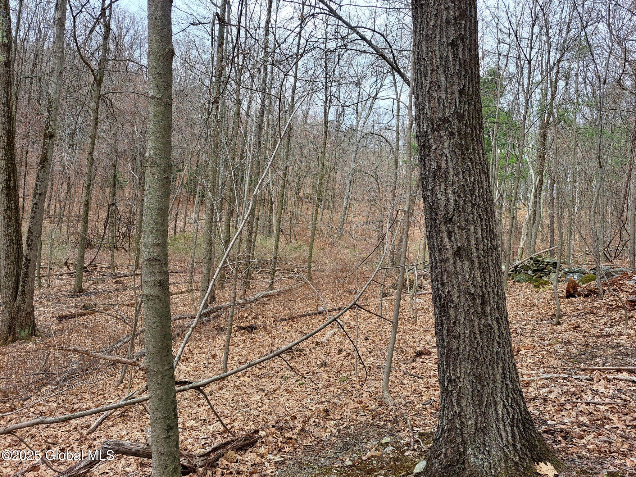 851 Bald Mountain Road, Greenwich, New York image 43