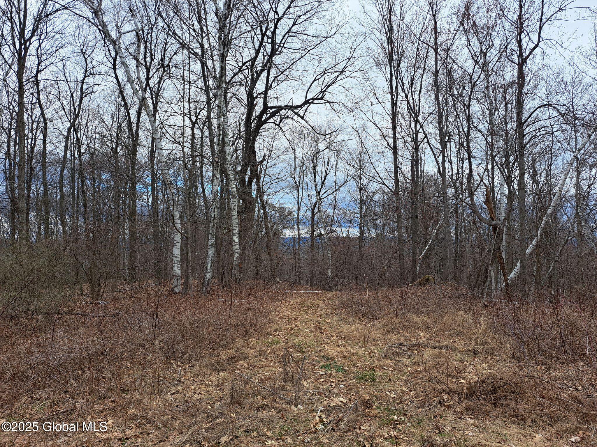 851 Bald Mountain Road, Greenwich, New York image 16