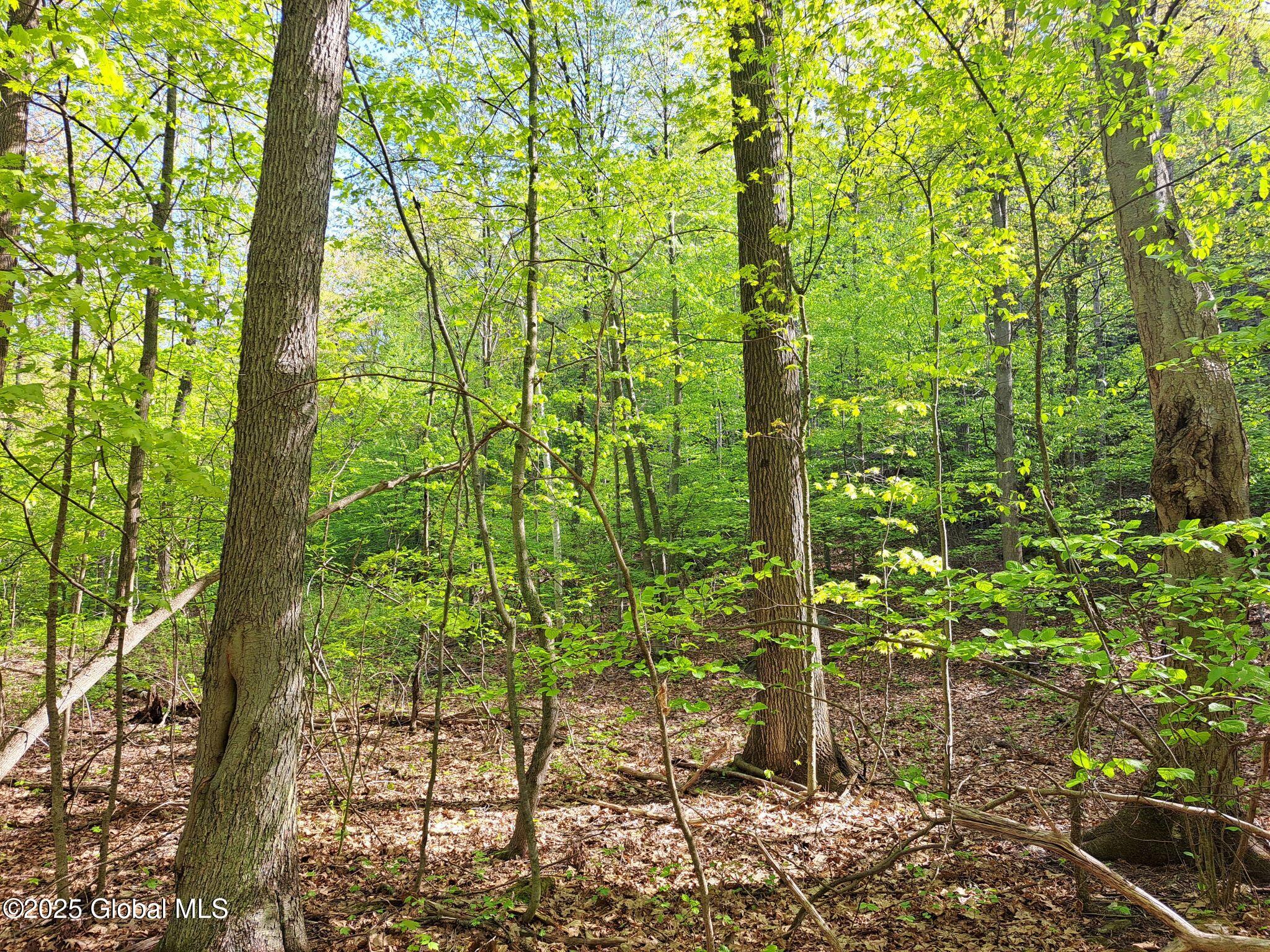 851 Bald Mountain Road, Greenwich, New York image 48