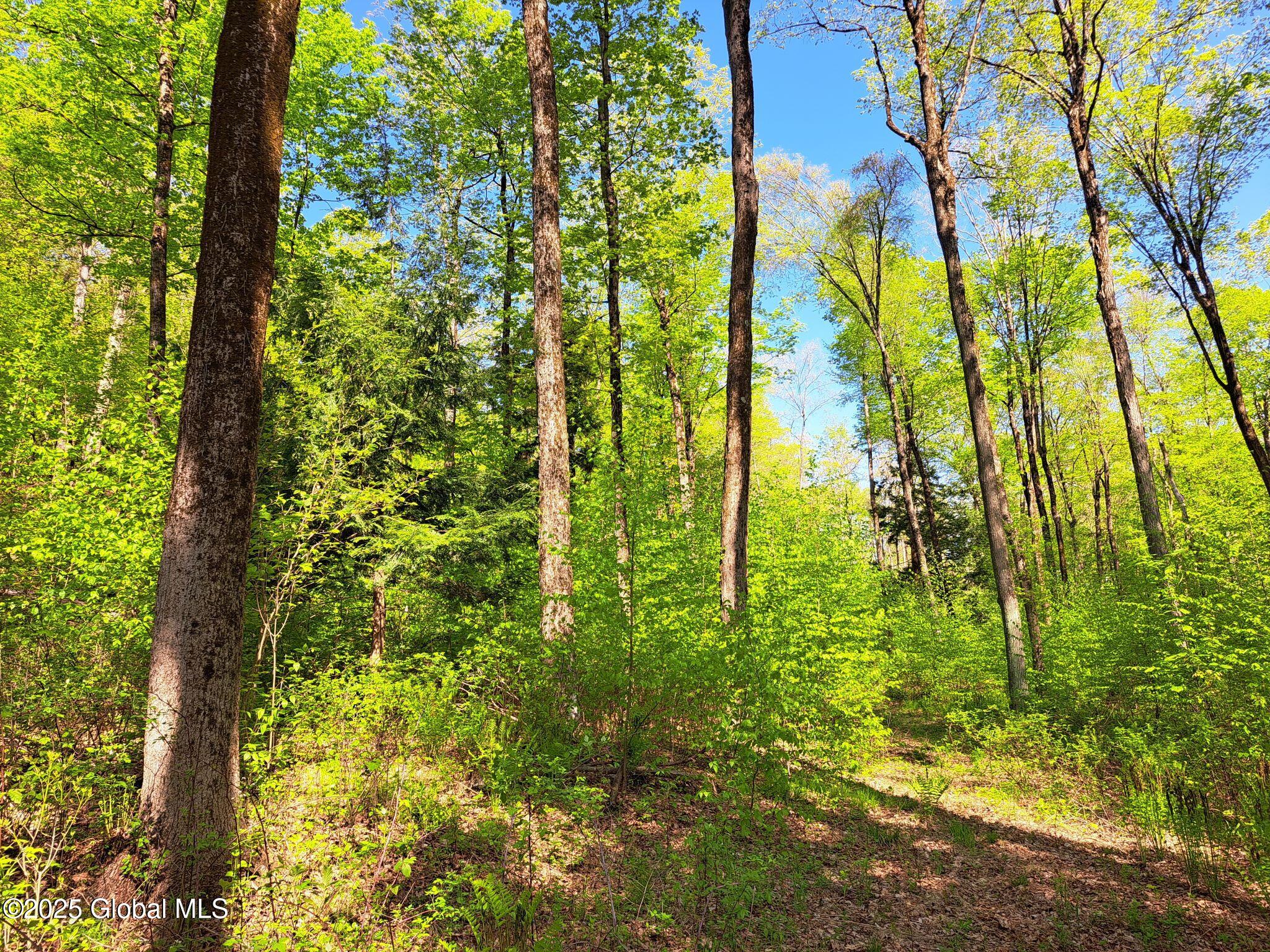 851 Bald Mountain Road, Greenwich, New York image 44