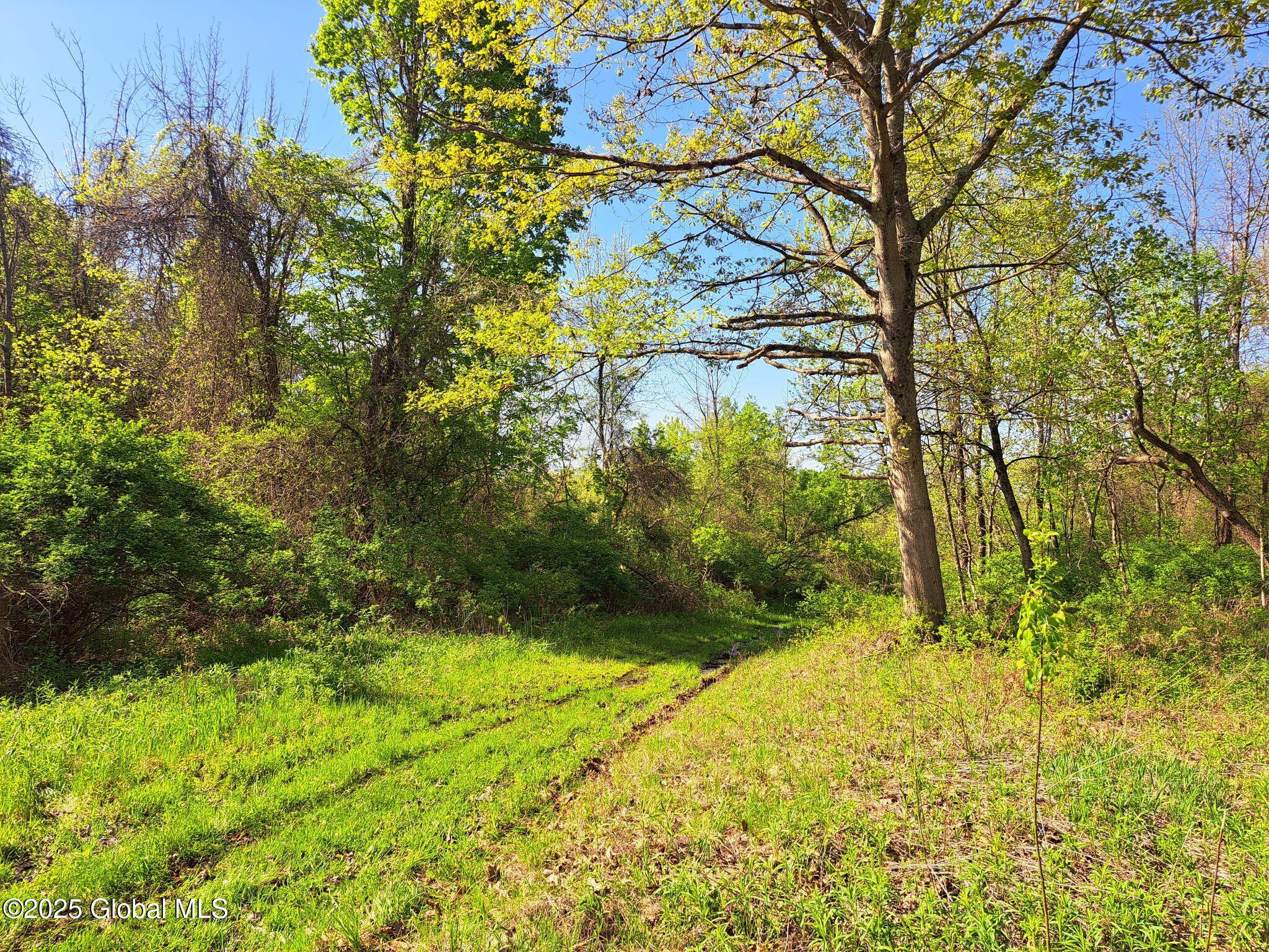 851 Bald Mountain Road, Greenwich, New York image 10