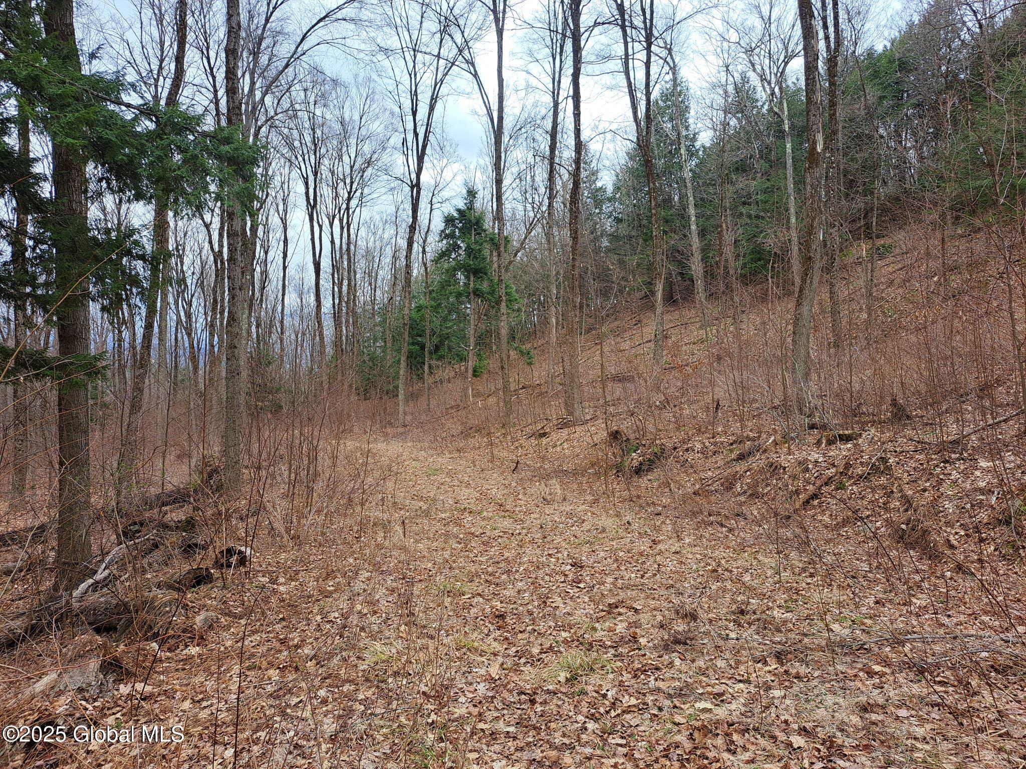 851 Bald Mountain Road, Greenwich, New York image 6