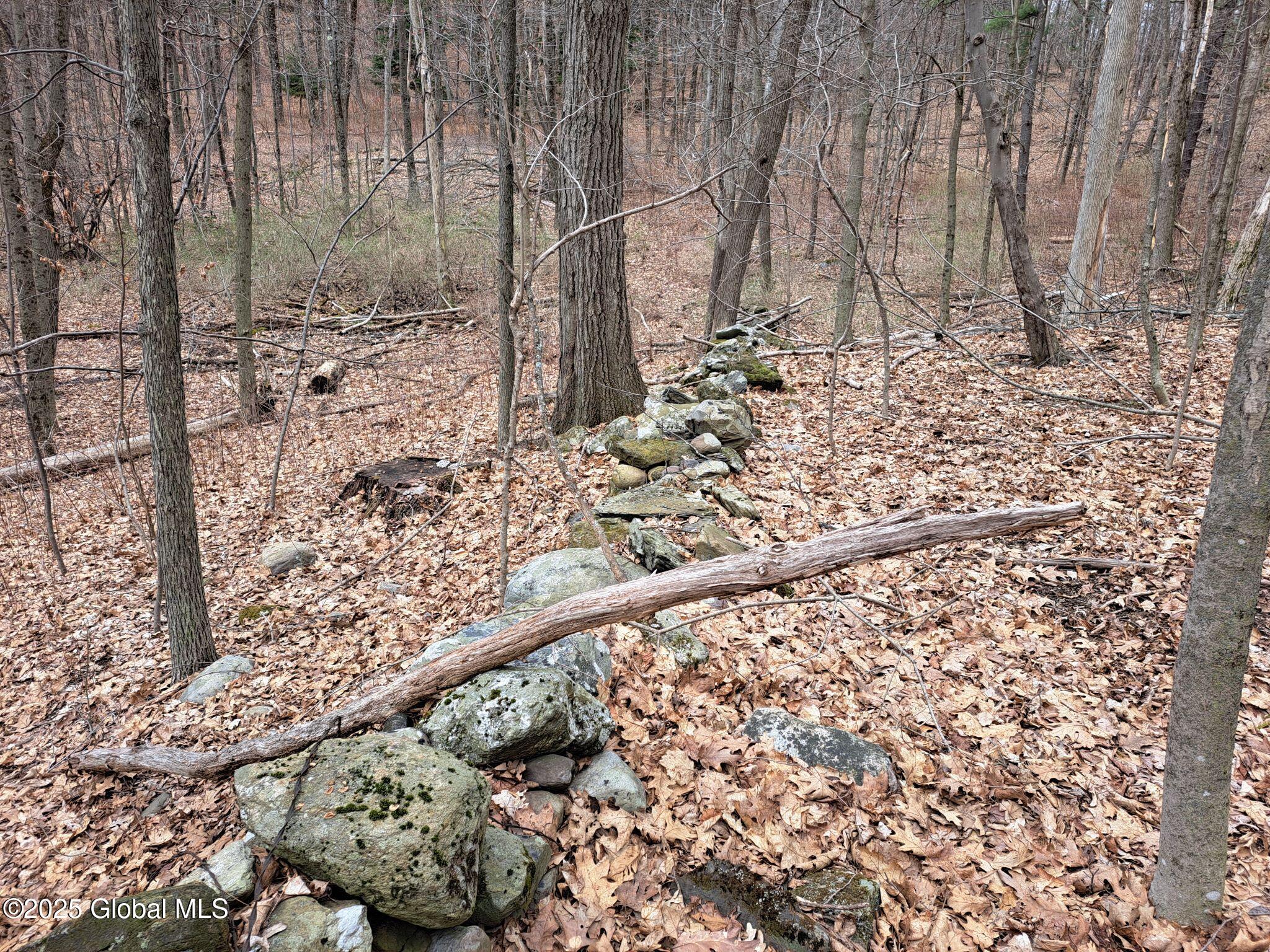 851 Bald Mountain Road, Greenwich, New York image 36