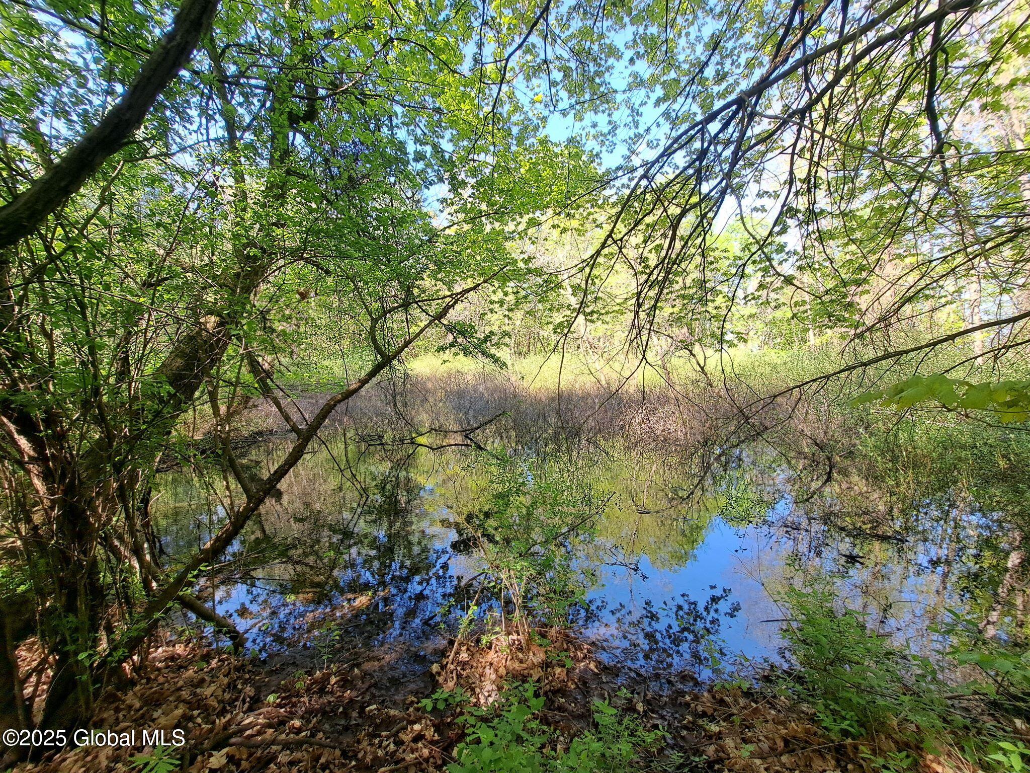 851 Bald Mountain Road, Greenwich, New York image 23