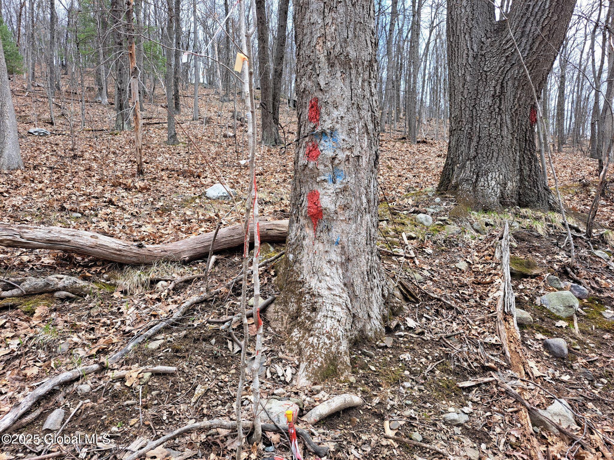 851 Bald Mountain Road, Greenwich, New York image 37
