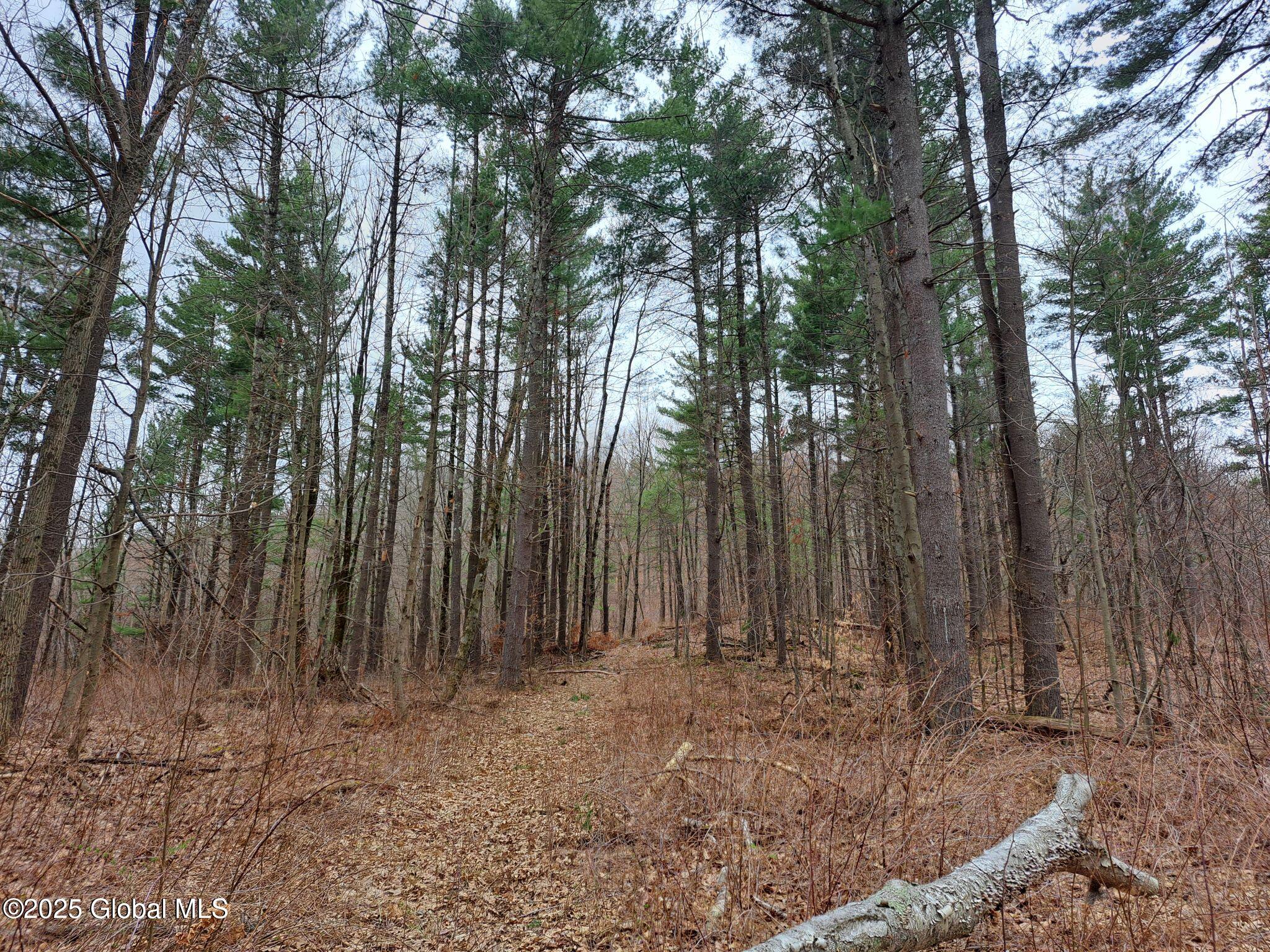 851 Bald Mountain Road, Greenwich, New York image 21