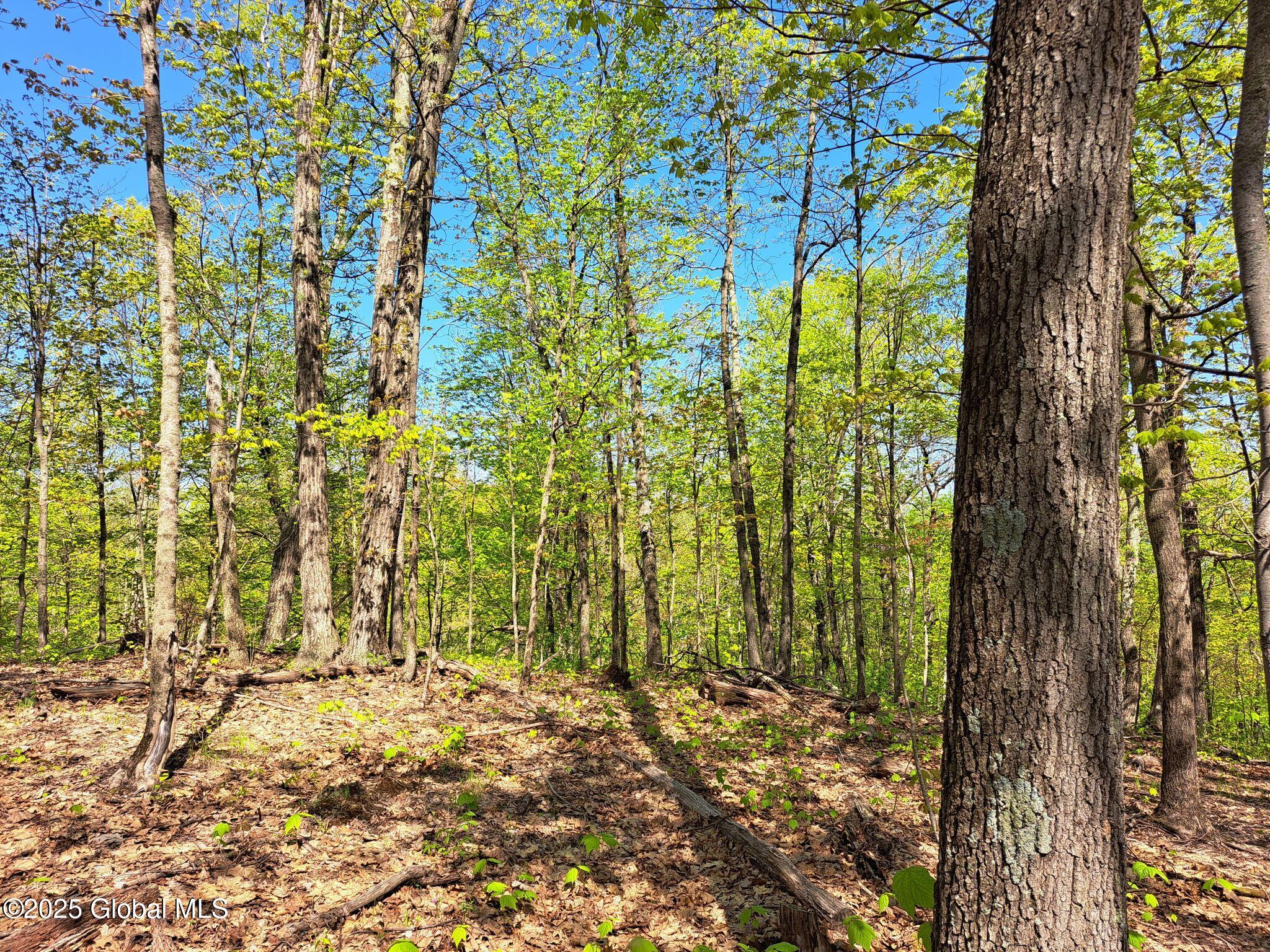 851 Bald Mountain Road, Greenwich, New York image 27