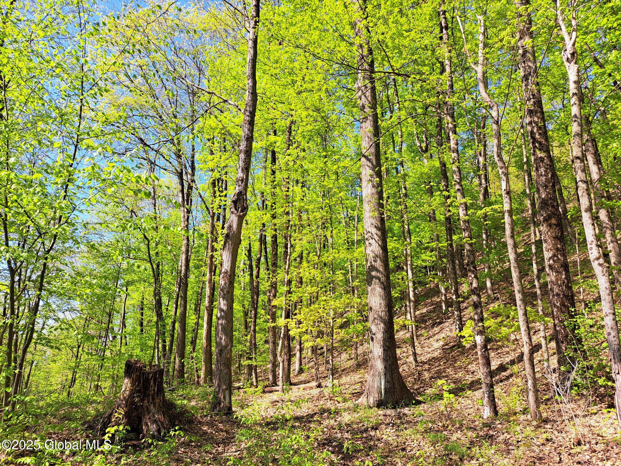 851 Bald Mountain Road, Greenwich, New York image 41