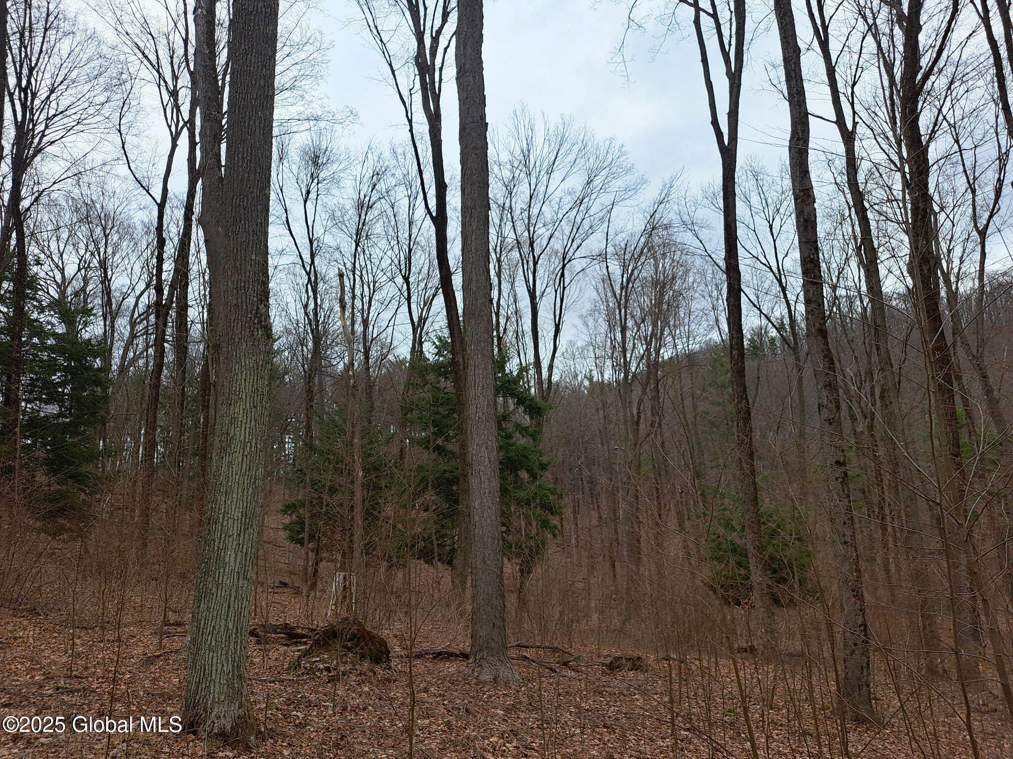 851 Bald Mountain Road, Greenwich, New York image 4