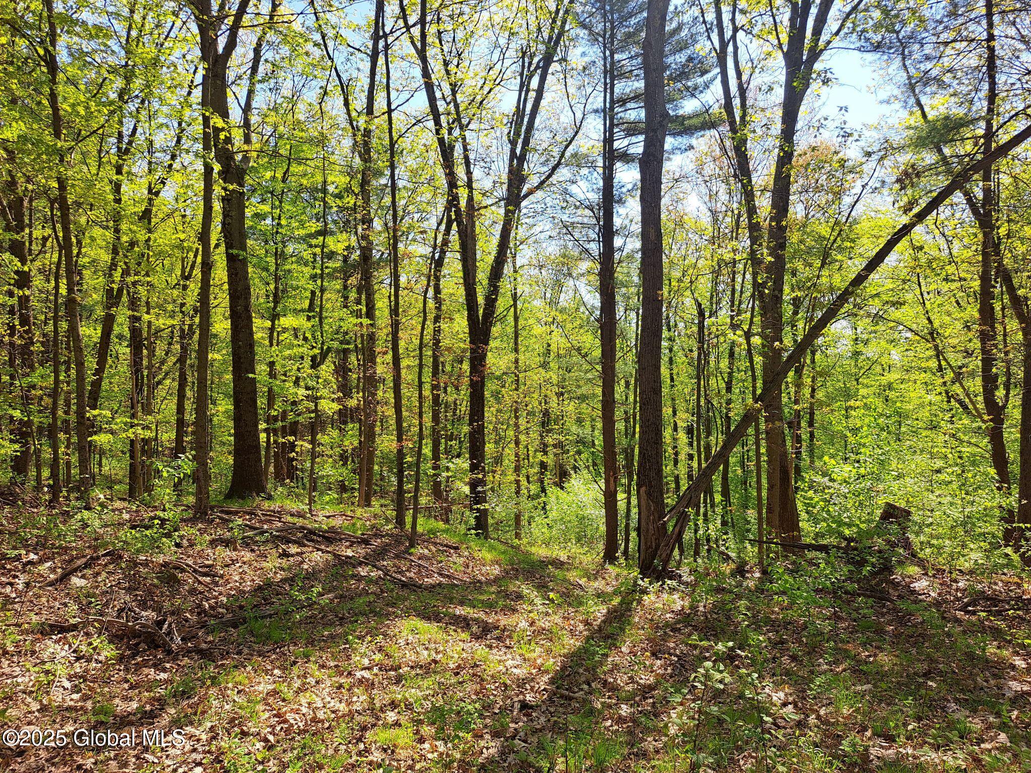 851 Bald Mountain Road, Greenwich, New York image 50
