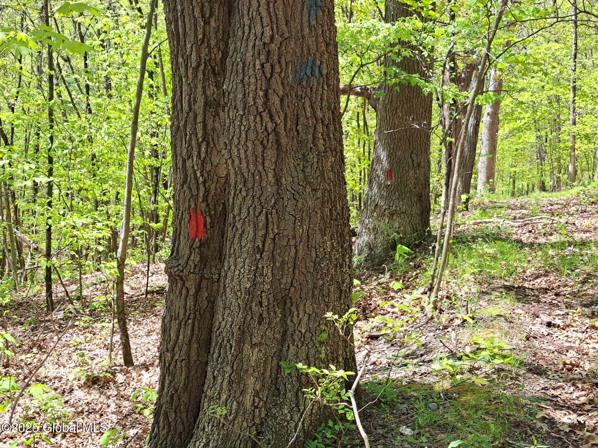 851 Bald Mountain Road, Greenwich, New York image 38