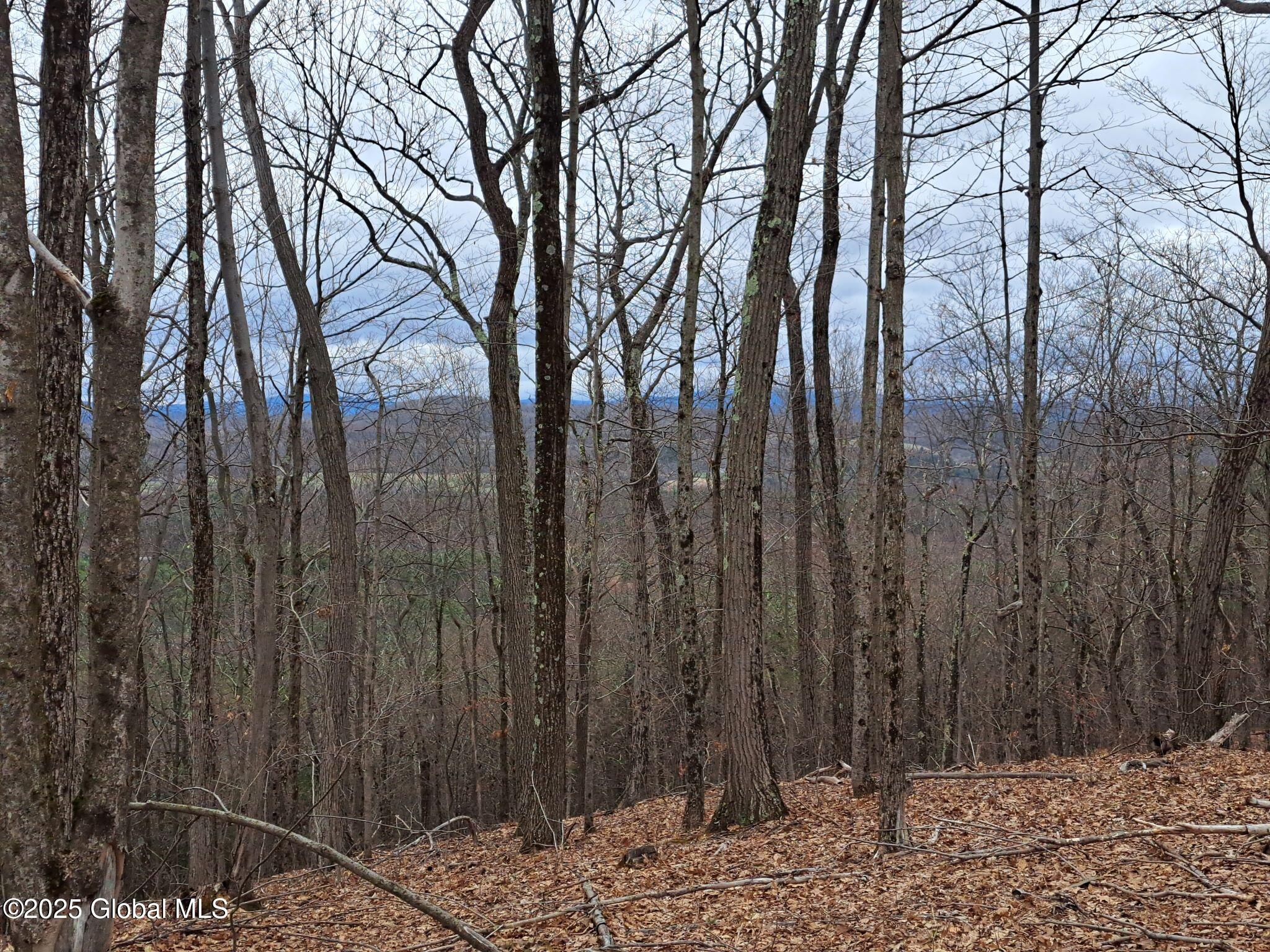 851 Bald Mountain Road, Greenwich, New York image 17