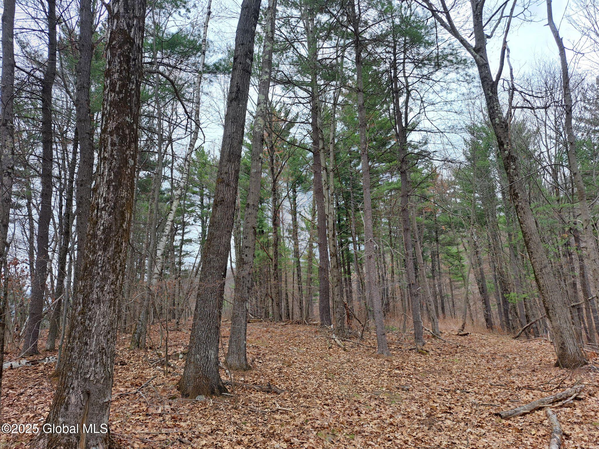 851 Bald Mountain Road, Greenwich, New York image 7