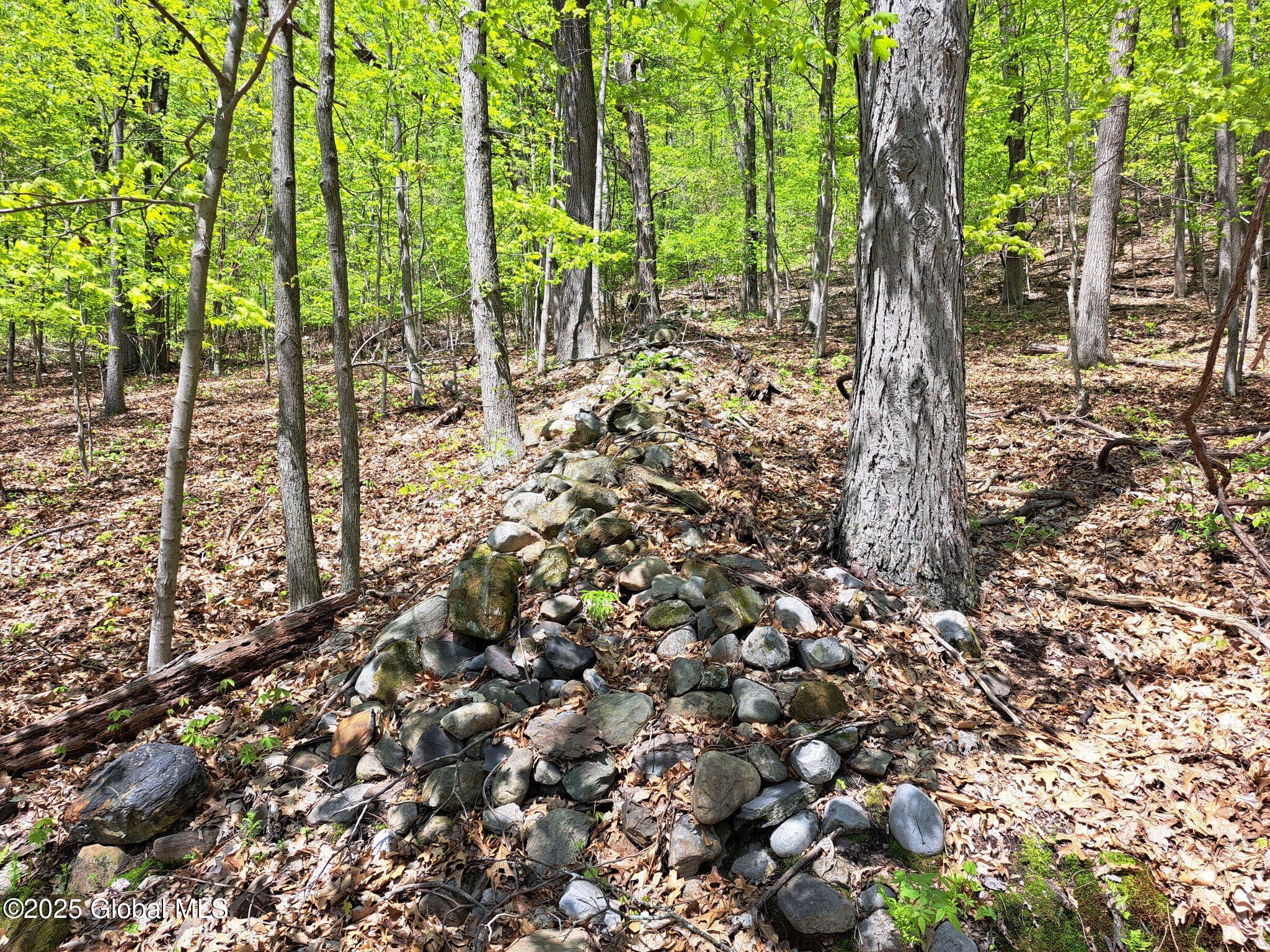 851 Bald Mountain Road, Greenwich, New York image 45