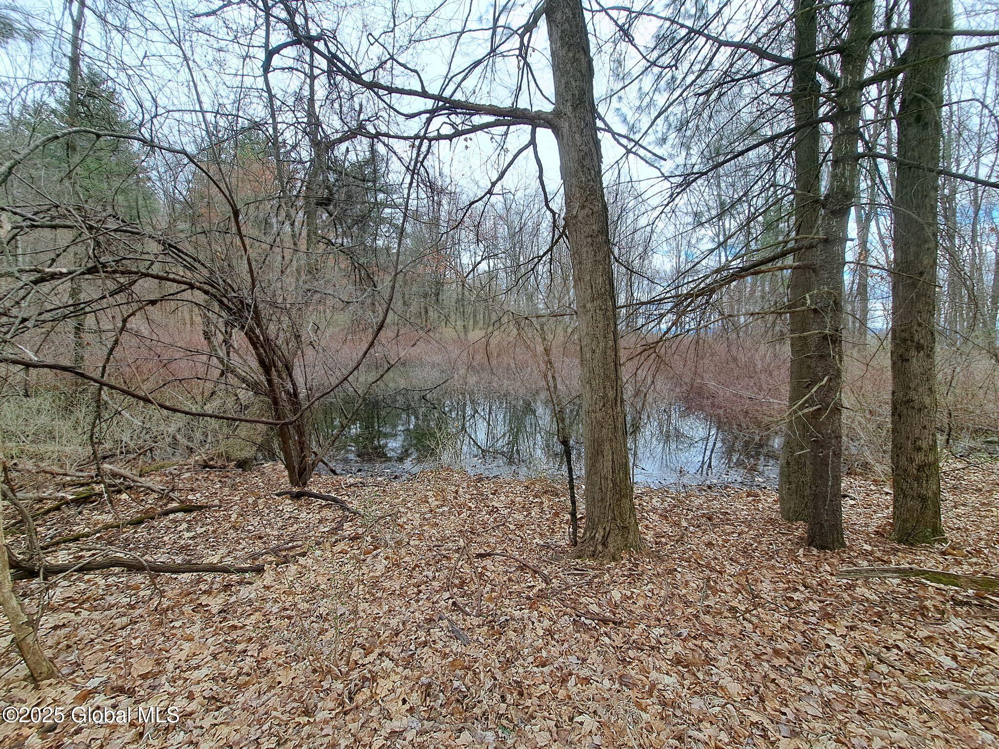 851 Bald Mountain Road, Greenwich, New York image 22