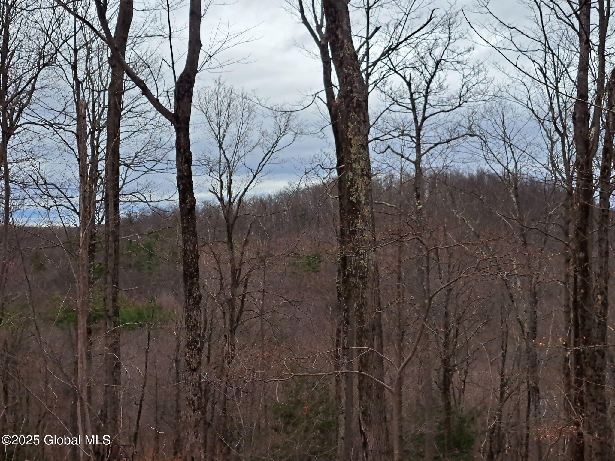 851 Bald Mountain Road, Greenwich, New York image 18