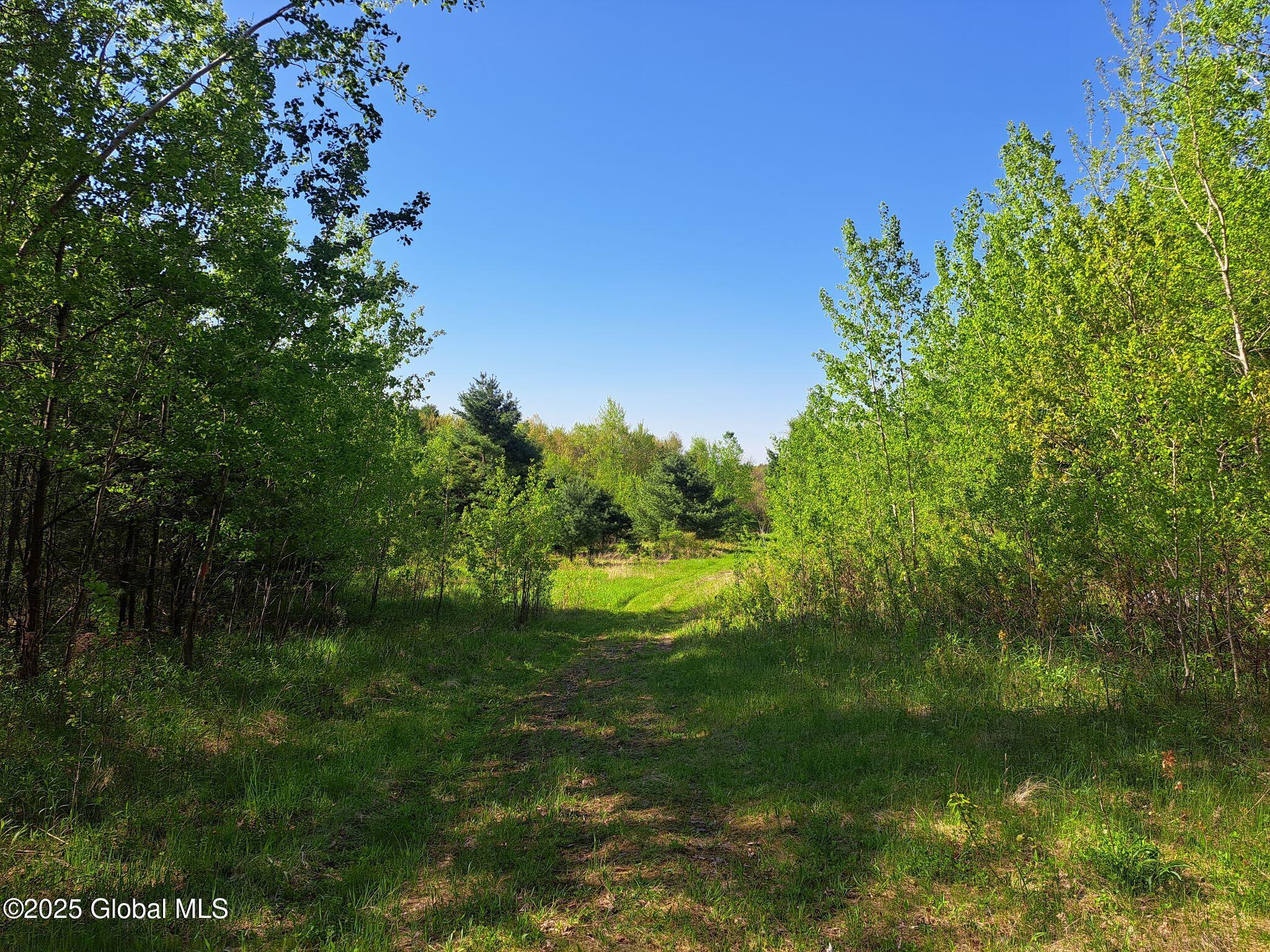 851 Bald Mountain Road, Greenwich, New York image 11